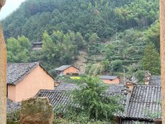 -杨家堂村