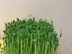 -好彩猪肚鸡(正弘城店)