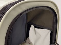 -北京观赏动物医院·24小时大型综合·猫专科·异宠专科