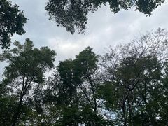 -华侨城湿地公园
