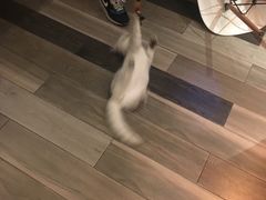 -好享派·团建轰趴馆(旗舰店)