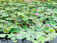 -大蜀山国家森林公园