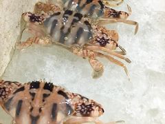 -Thiw Soen Seafood Restaurant
