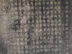 -苏州文庙(姑苏区)