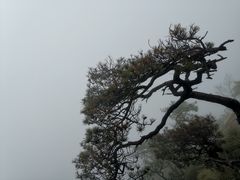 -明堂山风景区