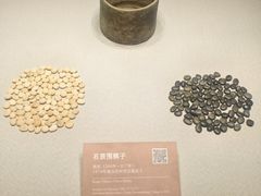 -邹城博物馆