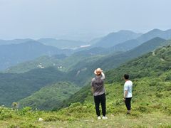 -大姆山草场