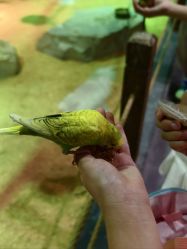 -酷嗒动物文化乐园(cutezoo西溪乐天城店)