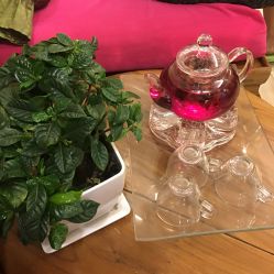 -FineYoga梵音瑜伽·普拉提