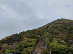 -梧桐山风景名胜区