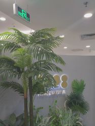 -八佰伴8008星级形象店