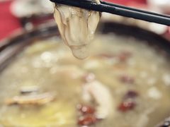 -花苑美食横琴生蚝火锅(拱北粤华路店)