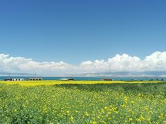-青海湖国家重点风景名胜区