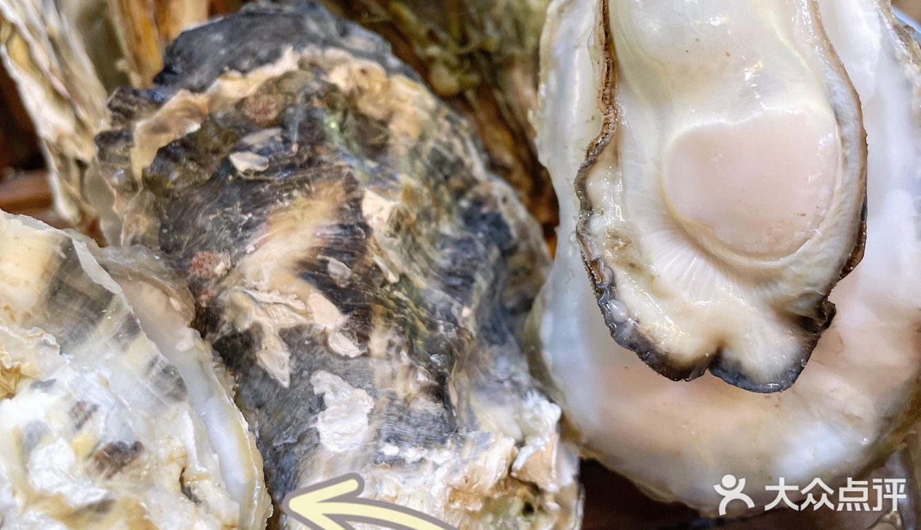 长沙| 镇店之宝 清蒸生蚝