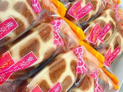 -关西国际机场直营免税店