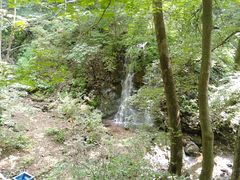 -天女山森林公园