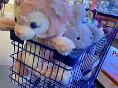 -PAWTOY爪e玩偶店(天兴罗斯福店)