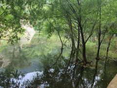 -灵溪风景区