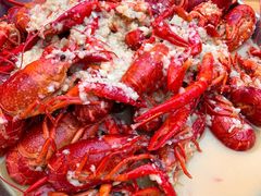 -杨氏青龙虾·羊蝎子(托乐嘉店)