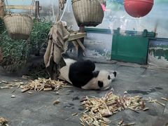 -无锡动物园·太湖欢乐园