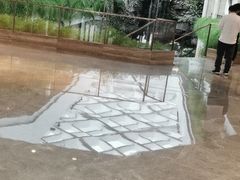 -白天鹅宾馆·月兔吧