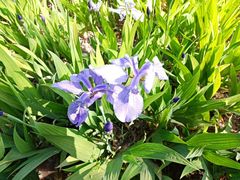 -汉长安城未央宫国家考古遗址公园