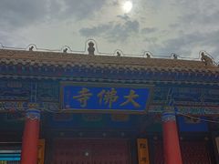 -张掖大佛寺景区