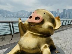 -星光大道