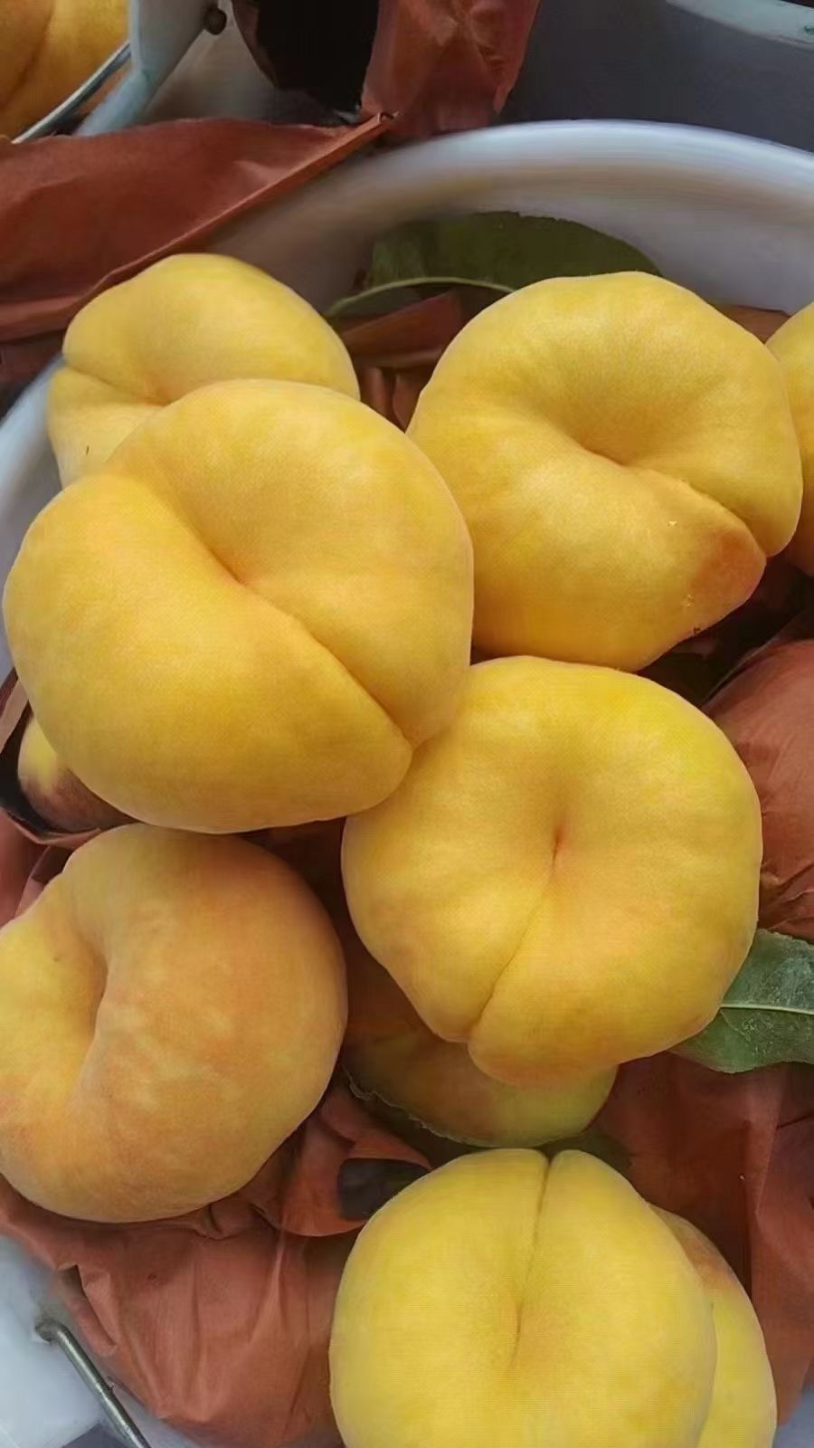 北京平谷水蜜桃