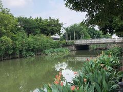 -伦教678文化街