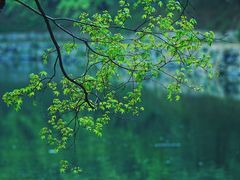 -颐和园