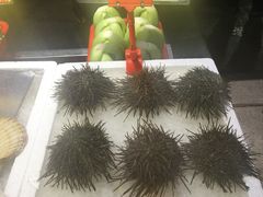 -蚝专家(北滘店)