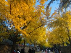 -圆明园停车场