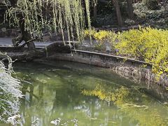 -和平公园