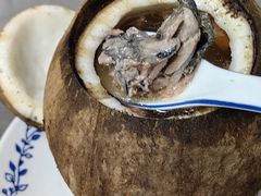 原只椰子炖竹丝鸡-達揚原味燉品(文明路店)