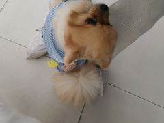 -怪兽屋·羊驼·猫咖·狗咖(俊华广场店)