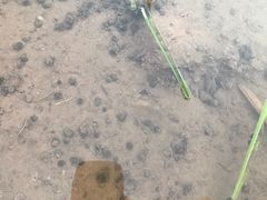 -沐仙湖湿地公园