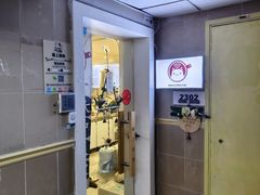 -楼上猫咖(罗湖店)