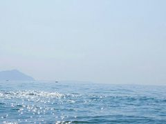 -西涌国际滨海旅游区