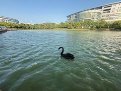 -南京财经大学(仙林校区)