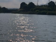 -三垟湿地