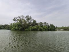 -莱西月湖公园