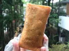 春卷-胡荣泉