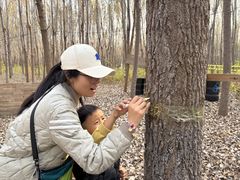 -贝美蓝天幼儿园(河东直沽园)