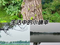 -颐和园