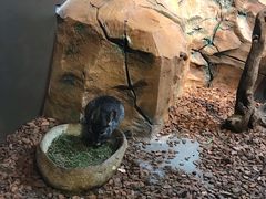 -昆明大悦城未来动物城(螺蛳湾中心店)