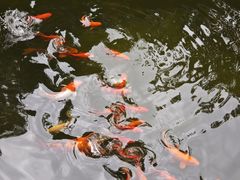 -常德桃花源景区