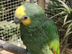 -大连森林动物园