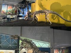 -湖南省地质博物馆