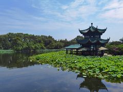 -灯盏窝饭店(新都分店)